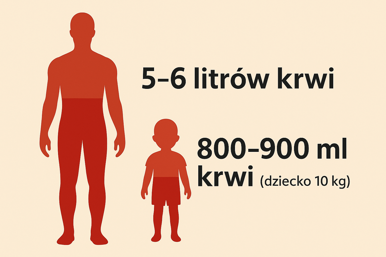 Objętość krwi w organizmie człowieka