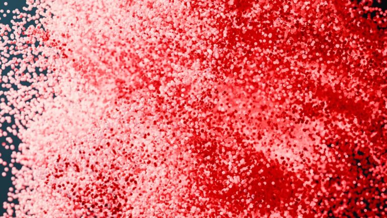 Komórka krwi: Co oznacza jej budowa i funkcja w praktyce diagnostycznej?