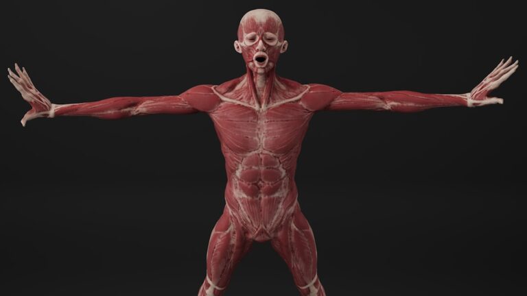 Poziom hemoglobiny: Jak wynik morfologii przekłada się na diagnozę i leczenie?