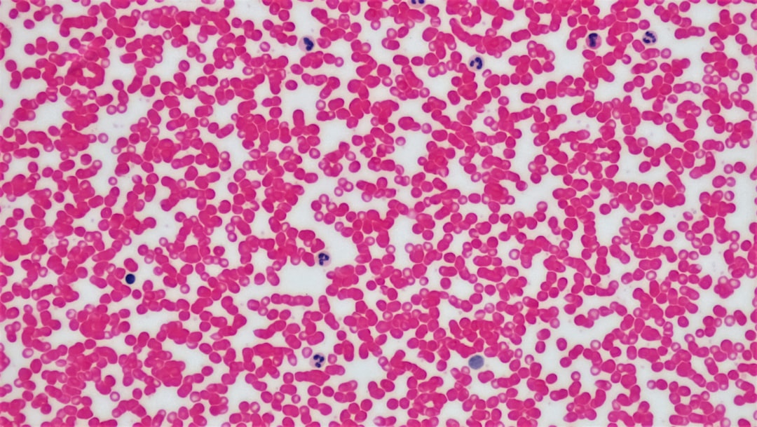 Funkcja krwi: Co warto wiedzieć przed wizytą u lekarza, by lepiej zrozumieć diagnozę?