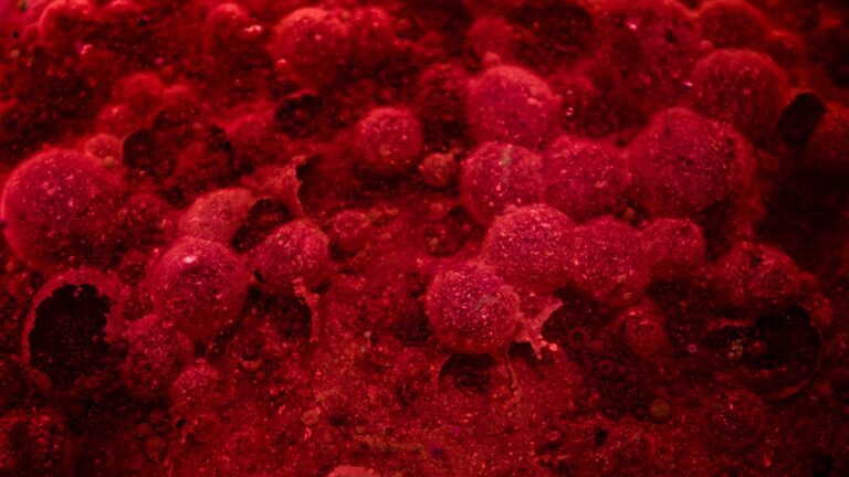 Dziedziczenie grup krwi: Jak przewidzieć, jaką grupę będzie miało Twoje dziecko?