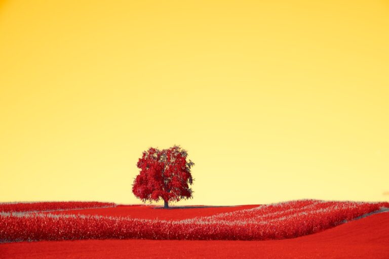 Grupa krwi dziecka: Jak łączy się z układem Rh i kiedy może pojawić się konflikt?